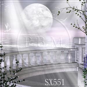 8'x8' SX551